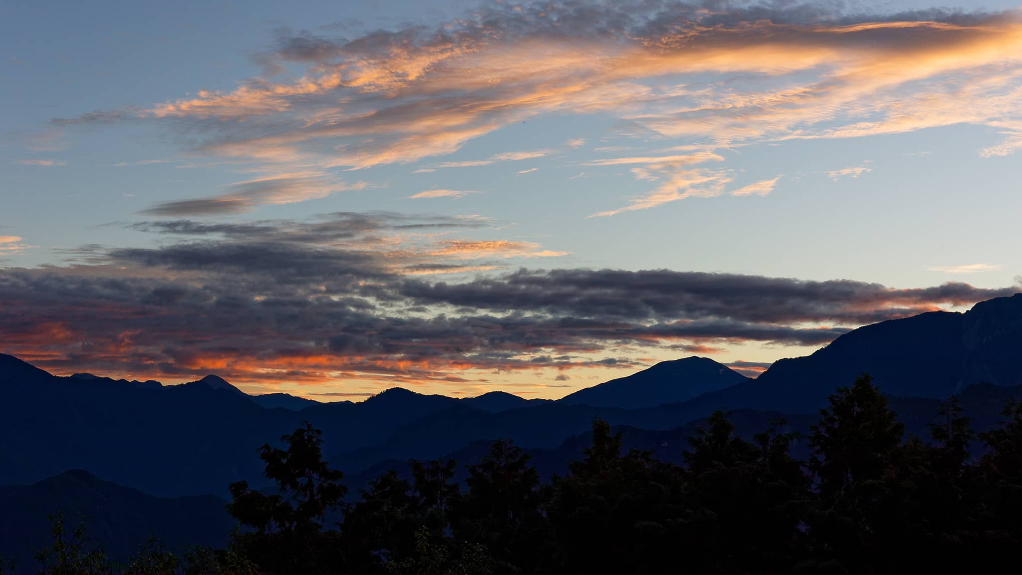 05 - Alishan (79).jpg